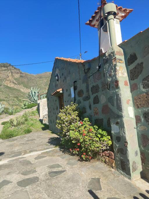 Finca Ancestros クルス・デ・テヘーダ エクステリア 写真